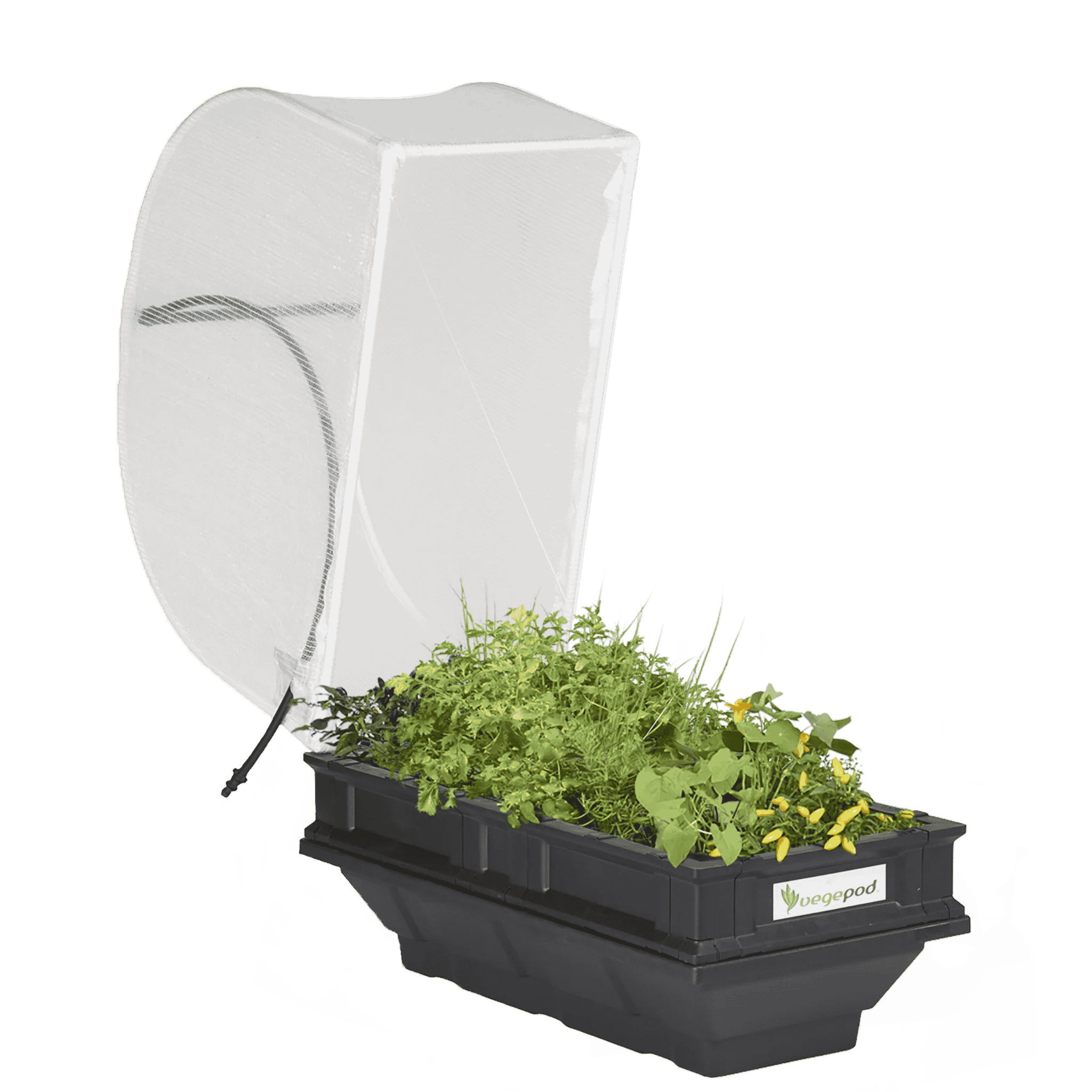 Vegepod Raised Garden Bed - Small Open Front View