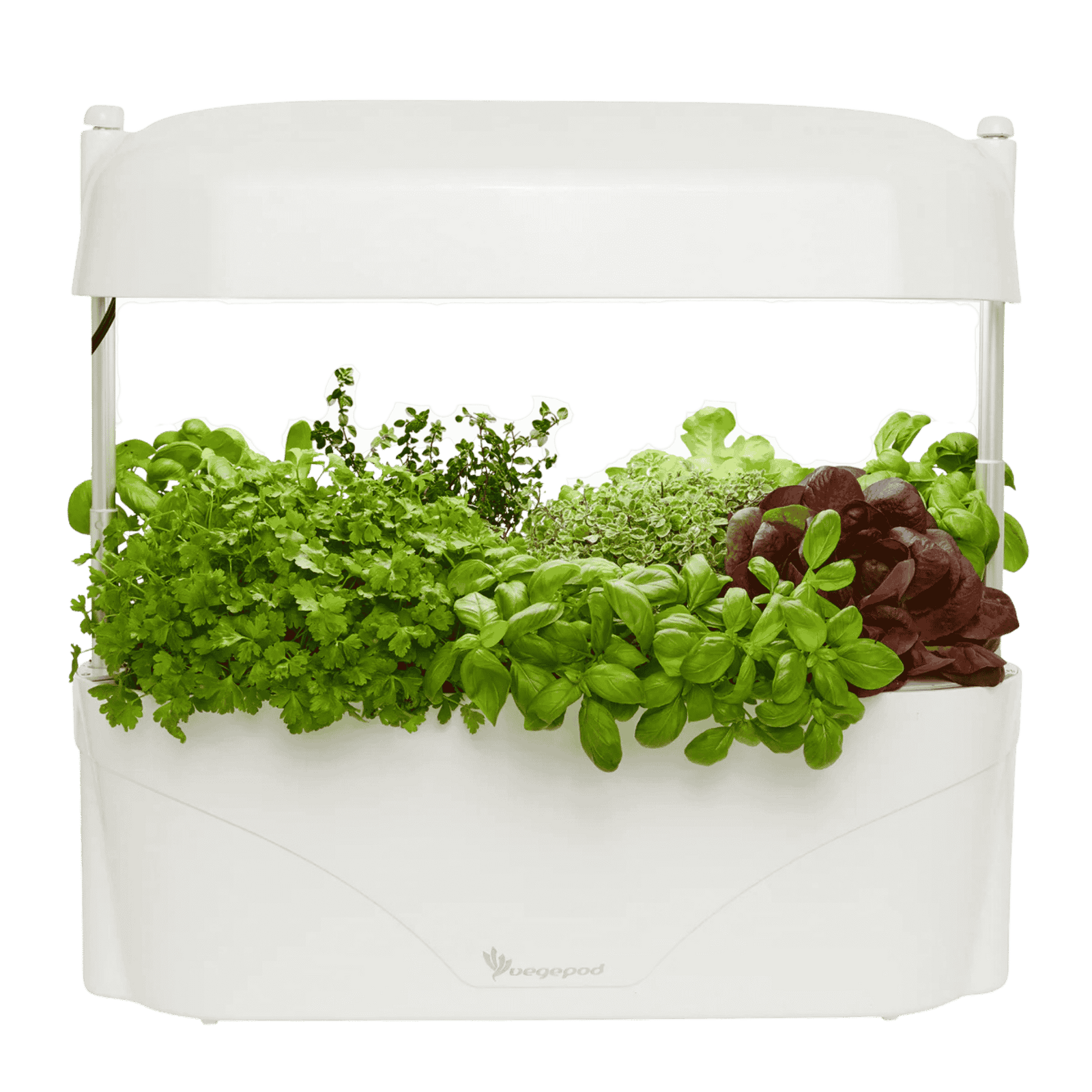White Vegepod Kitchen Garden