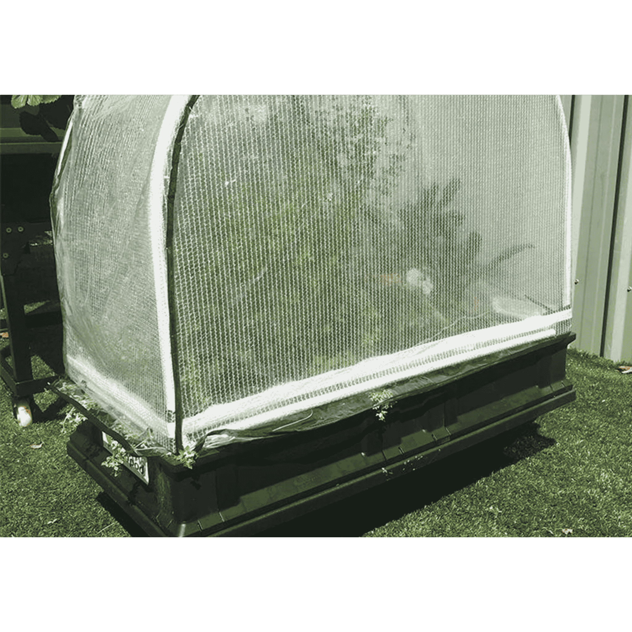 Vegepod - Winter Cover